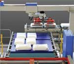 668 Palletizer