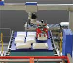 668 Palletizer