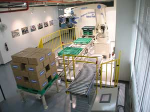 Regional Centre of Excellence for Robot Palletizer