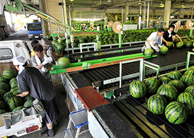 Understanding Sorting Robots and Their Role in Automation in 2025 1 nokyo img02